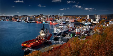 St. John's harbour in the autumn